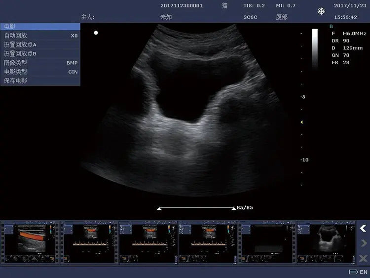 Portable Veterinary Ultrasound Scanner I RKU-10 I B Mode
