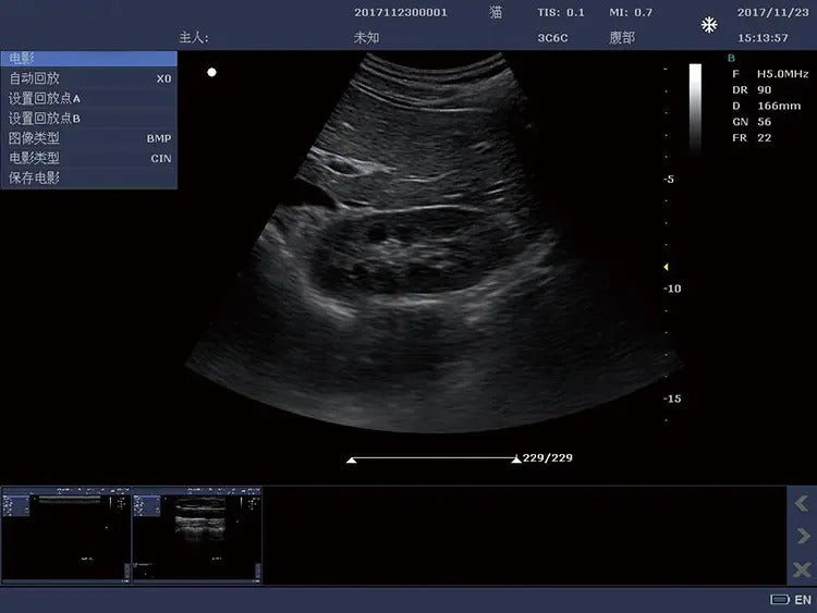 Portable Veterinary Ultrasound Scanner I RKU-10 I B Mode