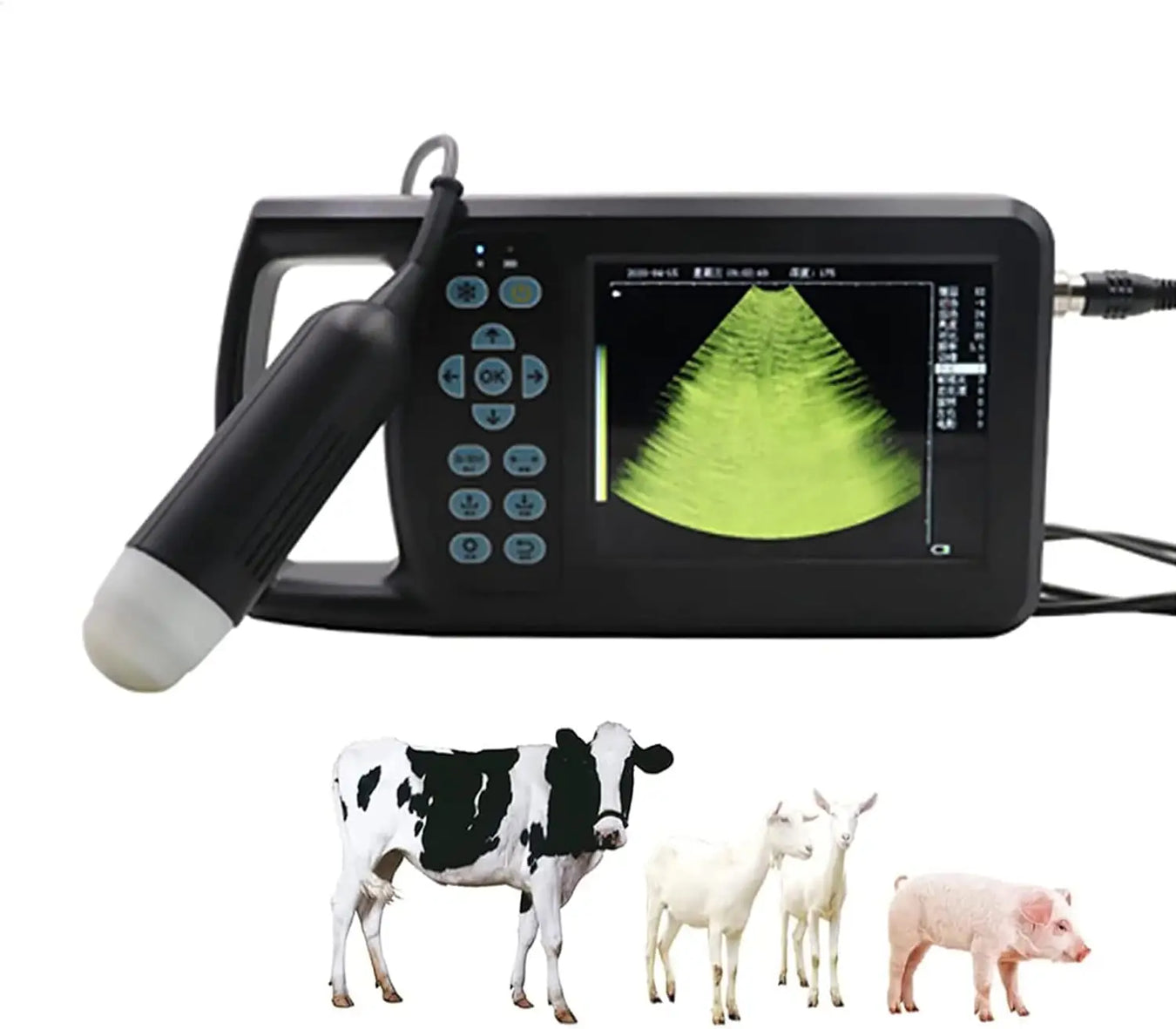 Ultrasound For Cattle