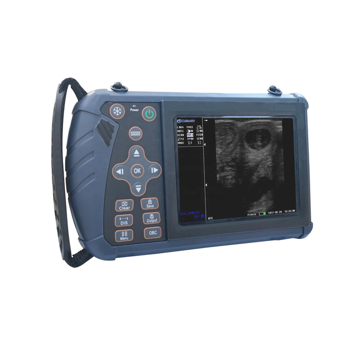 Portable Horse Ultrasound Scanner | Veterinary Equine Imaging Equipment for Clinics