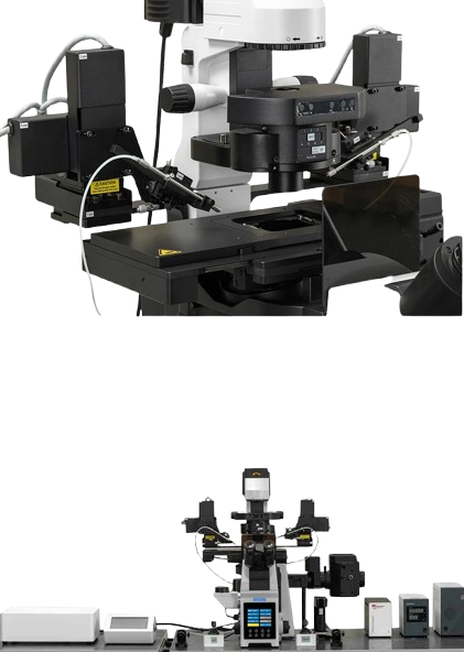 Research Level Inverted Fluorescent Microscope | BF+FL+RPC Micromanipulators