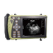 Handheld Veterinary Ultrasound Machine I Model VET-5 I Black