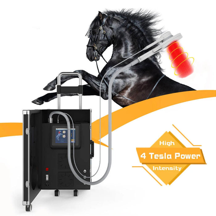 Physio Magneto Equine Pain Relief - Magnetic Therapy & Rehabilitation Device for Horse Treatment