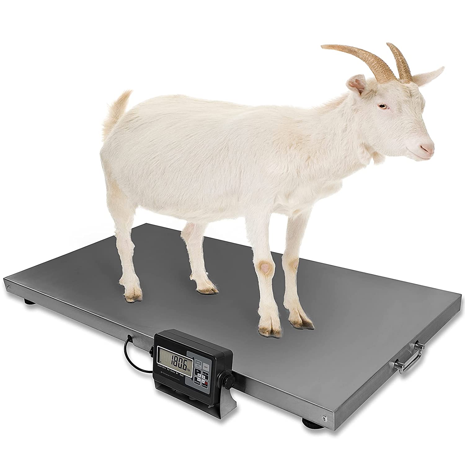 Veterinary Animal Scale with Stainless Steel Platform 44 x