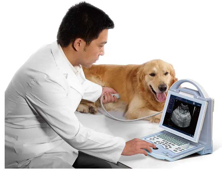 B Mode Portable Laptop Veterinary Ultrasound Scanner For Cats Dogs I KX-5600V