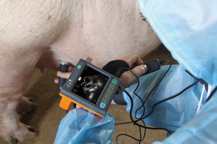 Veterinary B Mode Portable Ultrasound Scanner I MSU-3