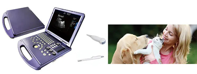 Portable Laptop Veterinary Ultrasound Machine I VET-3P M32 Version I Black & White